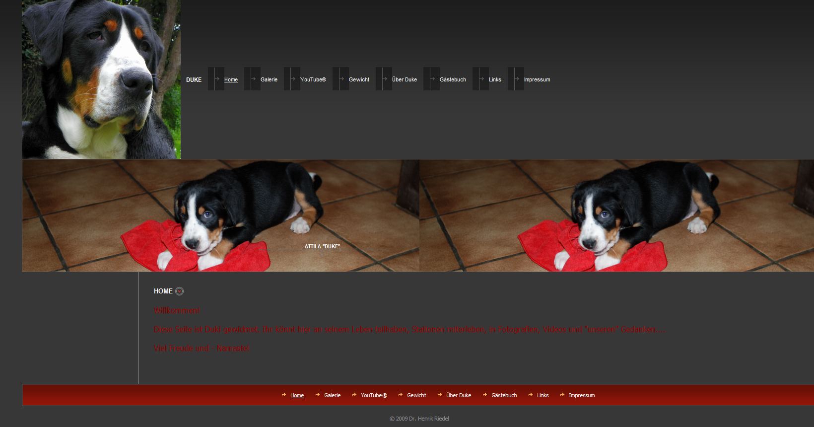 Webpage dedicated to Duki, my Dog